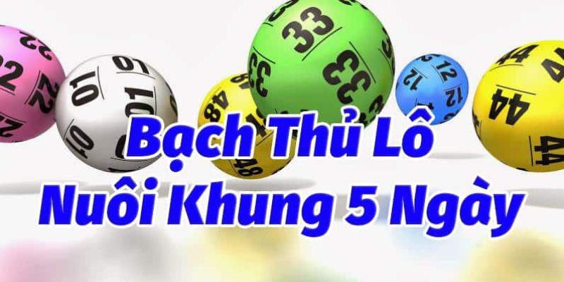 Tổng quan về bạch thủ nuôi khung 5 ngày
