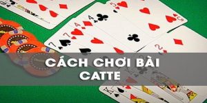 Cách Chơi Bài Catte – Hiểu Luật, Chiến Thuật, Thắng Dễ Dàng